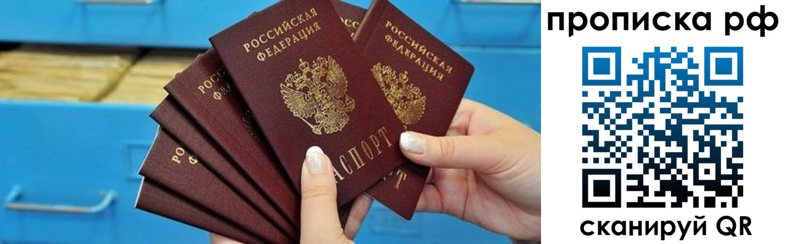 прописка поиск в Камышлове